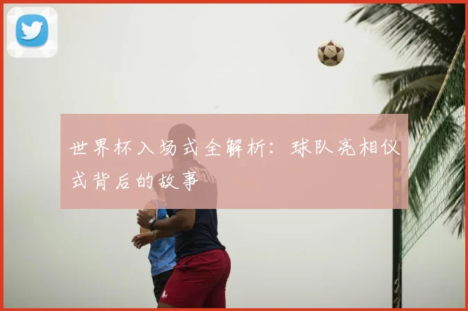 世界杯入场式全解析:球队亮相仪式背后的故事
