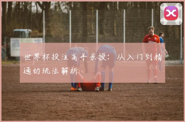 世界杯投注高手亲授：从入门到精通的玩法解析