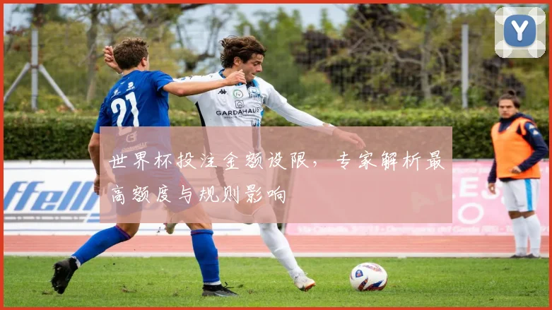 世界杯投注金额设限，专家解析最高额度与规则影响