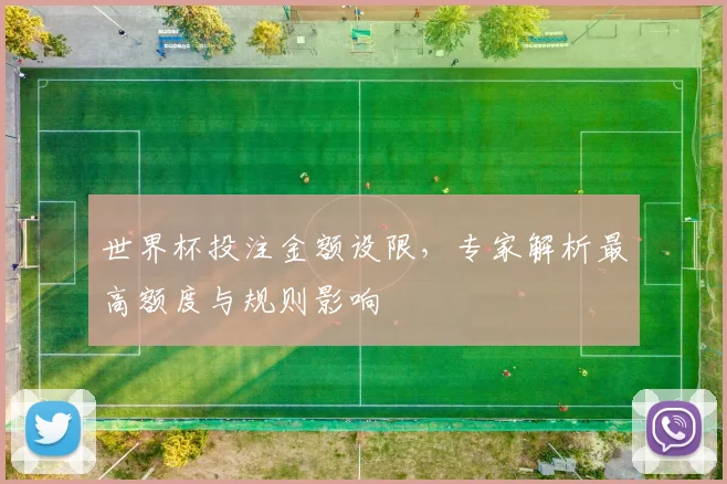 世界杯投注金额设限，专家解析最高额度与规则影响