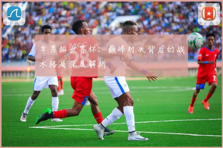 年男排世界杯：巅峰对决背后的战术格局深度解析